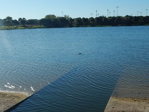 Chain of Lakes Park