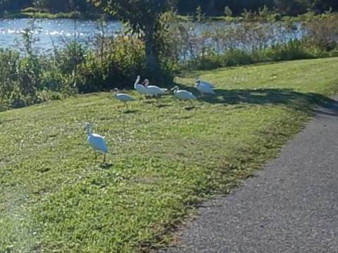 Chain of Lakes Park