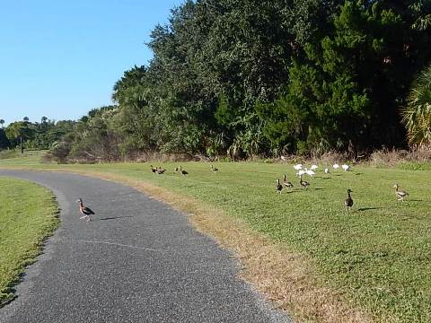 Chain of Lakes Park