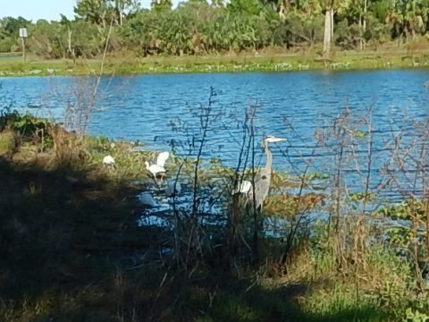 Chain of Lakes Park