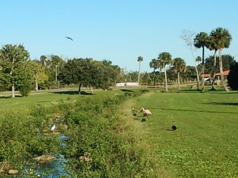 Chain of Lakes Park