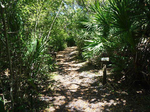 Flagler County Trail