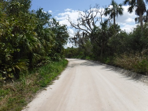 Historic Jungle Trail