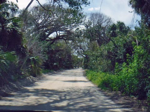 Historic Jungle Trail