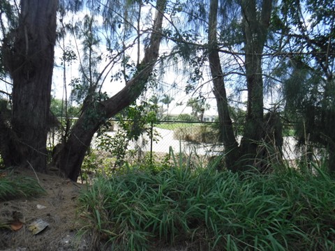 Historic Jungle Trail