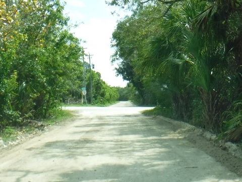 Historic Jungle Trail