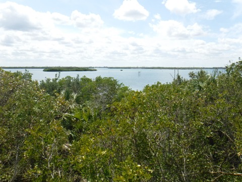 Historic Jungle Trail