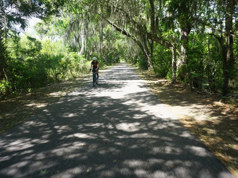 Lehigh Greenway Rail Trail