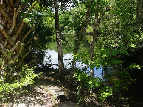 Lehigh Greenway Rail Trail