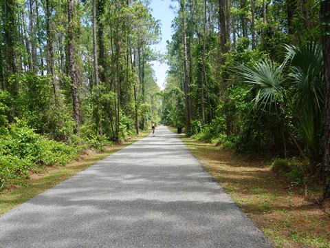 Lehigh Greenway Rail Trail