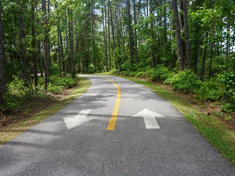 Lehigh Greenway Rail Trail