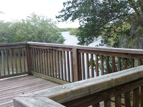 New Smyrna Beach, Florida Beach Biking