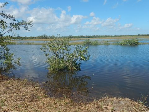 Ormond Scenic Loop, A1A biking