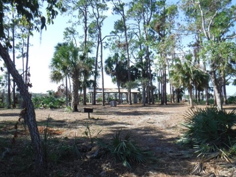 Ormond Scenic Loop, A1A biking