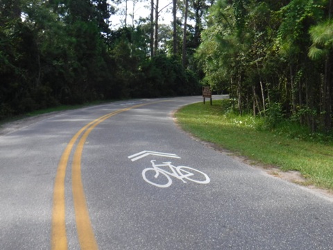 Amelia Island Trail