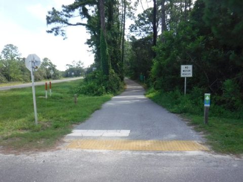 Florida Bike Trails, Amelia Island