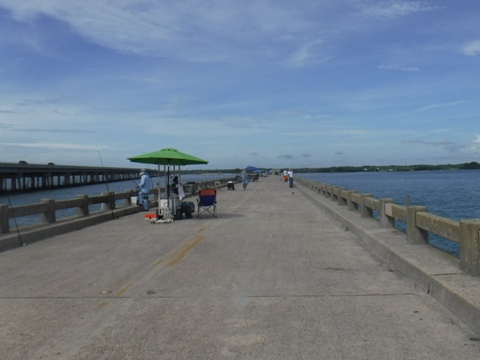 Florida Bike Trails, Timucuan Trail