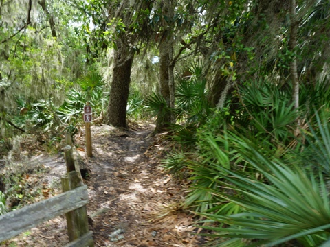 Florida Bike Trails, Amelia Island