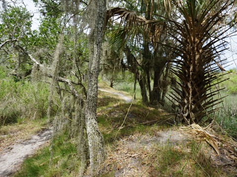 Florida Bike Trails, Amelia Island