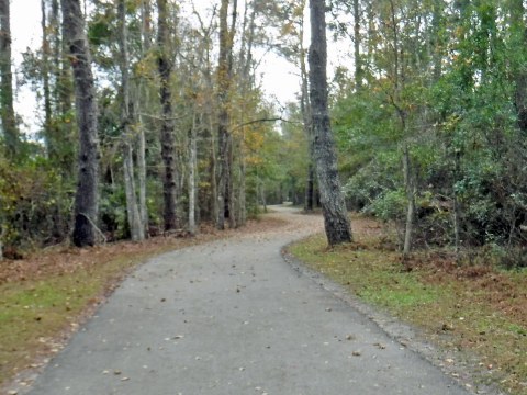 Black Creek Trail