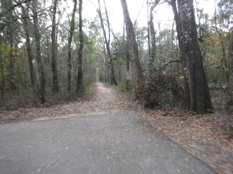 Florida Bike Trails, Black Creek Trail