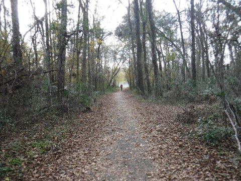 Florida Bike Trails, Black Creek Trail