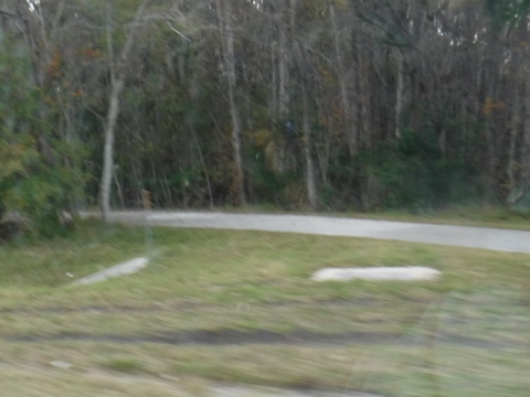 Florida Bike Trails, Black Creek Trail