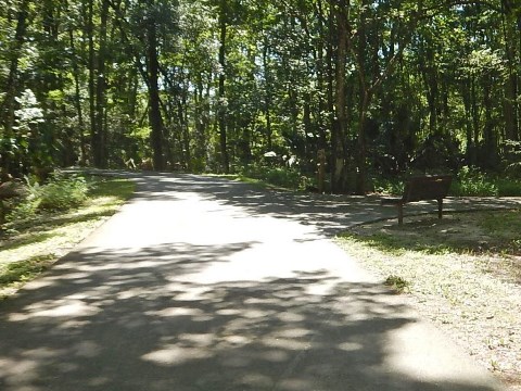 Marjorie Harris Carr Cross Florida Greenway, Dunnellon Trail