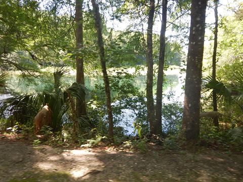 Marjorie Harris Carr Cross Florida Greenway, Dunnellon Trail