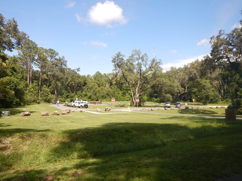 Marjorie Harris Carr Cross Florida Greenway, Dunnellon Trail