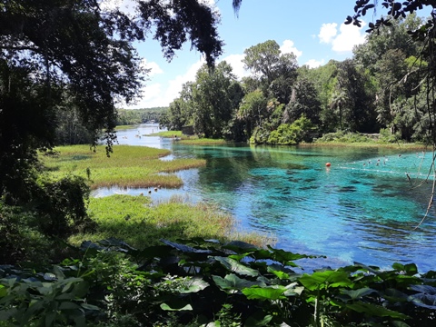 Marjorie Harris Carr Cross Florida Greenway, Dunnellon Trail