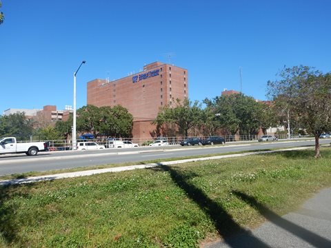 Florida Bike Trails, Biking in Gainesville FL