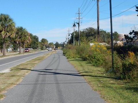 Florida Bike Trails, Biking in Gainesville FL