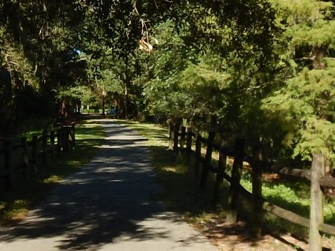 Florida Bike Trails, Biking in Gainesville FL