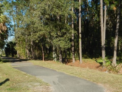 Florida Bike Trails, Biking in Gainesville FL