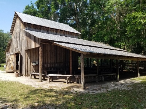 Florida Bike Trails, Biking in Gainesville FL