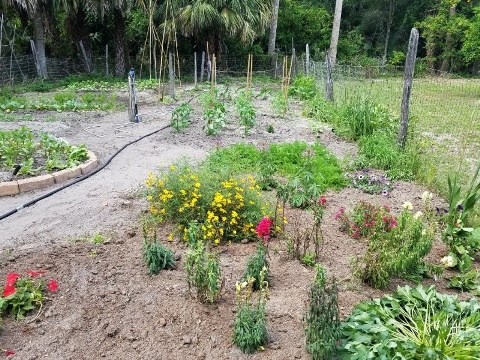 Florida Bike Trails, Biking in Gainesville FL