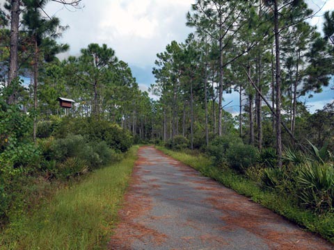 Florida Bike Trails, Keaton Beach Path