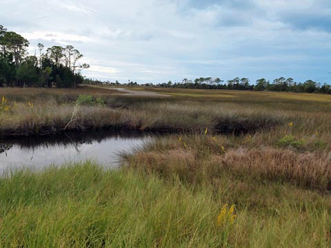 Florida Bike Trails, Keaton Beach Path