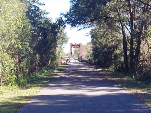 Nature Coast Trail, North Florida