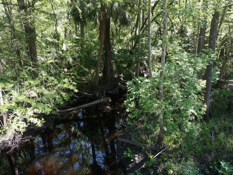 Florida Bike Trails, Palatka-Lake Butler State Trail