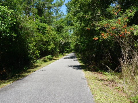 Florida Bike Trails, Palatka-Lake Butler State Trail