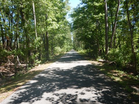 Florida Bike Trails, Palatka-Lake Butler State Trail