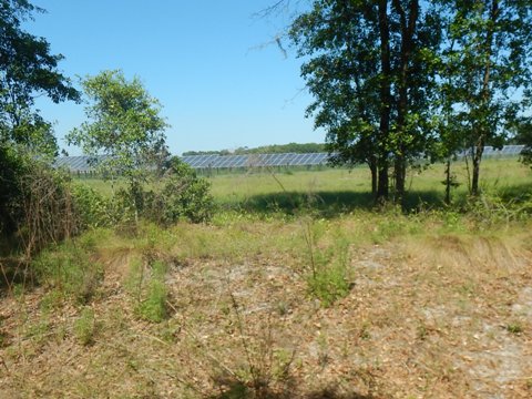 Florida Bike Trails, Palatka-Lake Butler State Trail