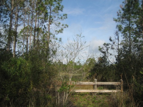 Florida Bike Trails, Palatka - St. Augustine State Trail