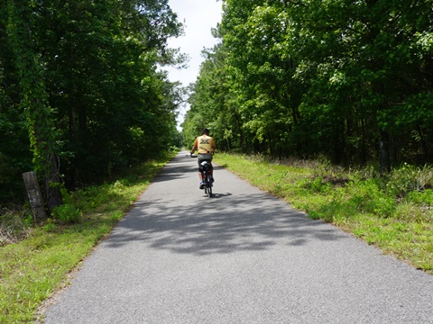 Florida Bike Trails, Palatka - St. Augustine State Trail