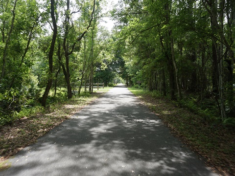 Florida Bike Trails, Palatka - St. Augustine State Trail