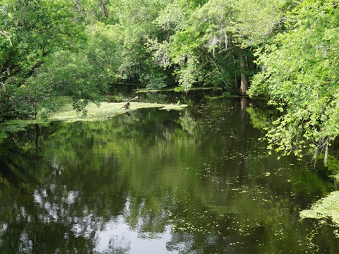 Florida Bike Trails, Palatka - St. Augustine State Trail