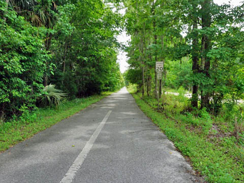 Florida Bike Trails, Palatka - St. Augustine State Trail