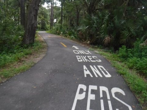 Timucuan Trail